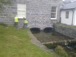 millstreet 10480.jpg